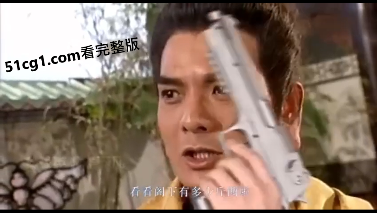 《天龙八部：枪神》
