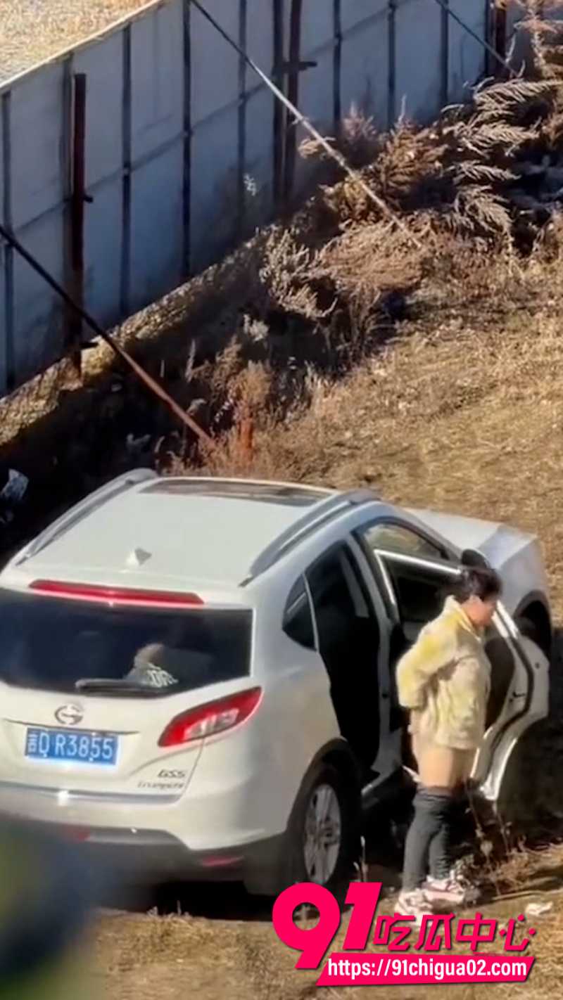 辽源吉DR3855车主5