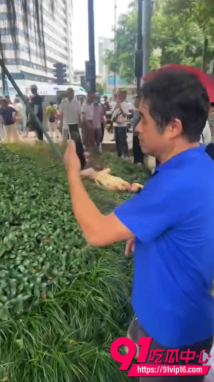 温州出租车超速撞人4