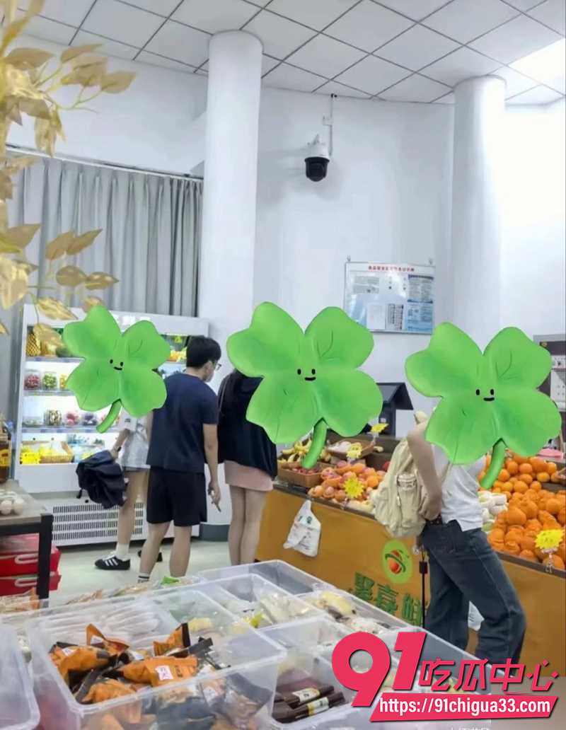 南京审计大学顾振佳  2