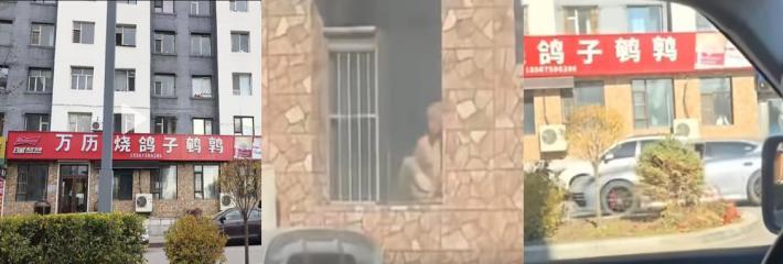 10月20日 Top10爆点合集 抖音爆火大瓜 长白山万历烧鸽子 窗前大胆缠绵事件 视频完整版流出！ 配图