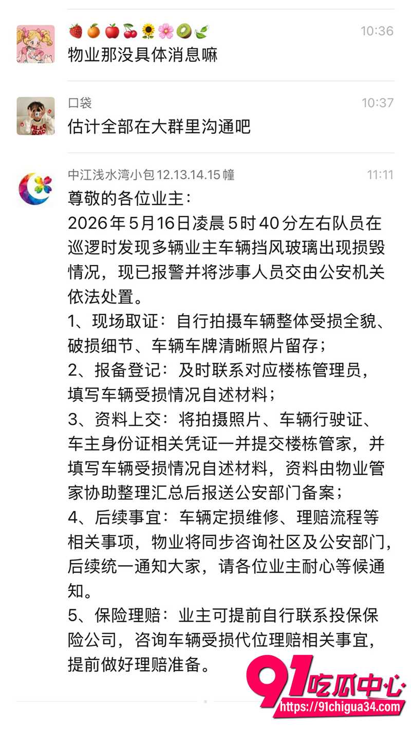 少年狂砸200辆豪车 5