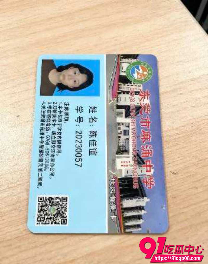 东莞市麻涌中学 陈佳谊6 东莞市麻涌中学 陈佳谊6