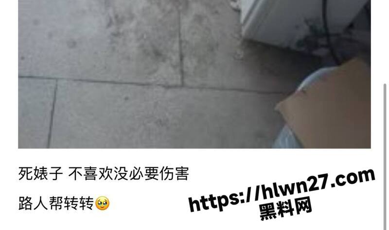 虐猫还炫耀 臭婊子虐杀喵咪玩弄取乐 直接从高楼阳台摔死 好可怜的小猫咪!