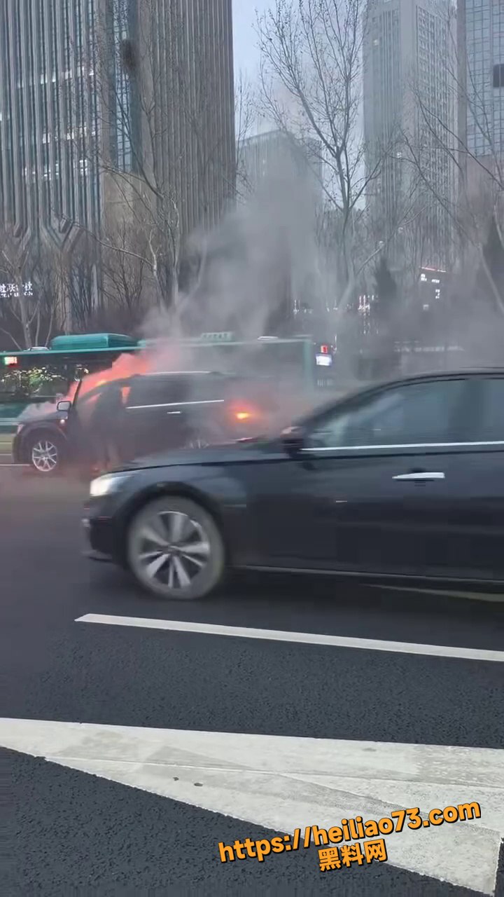济南经十路车辆发生自燃 大哥火海舍命寻未知物 现场视频曝光惊魂一刻
