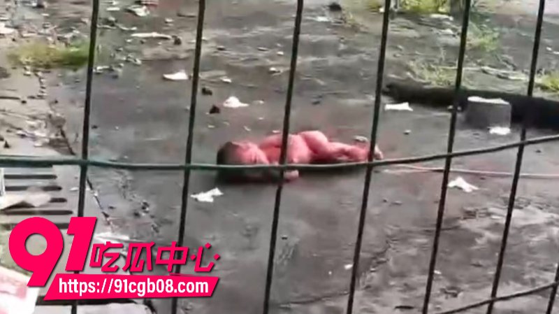 江宁高职6号楼5楼发现弃婴4