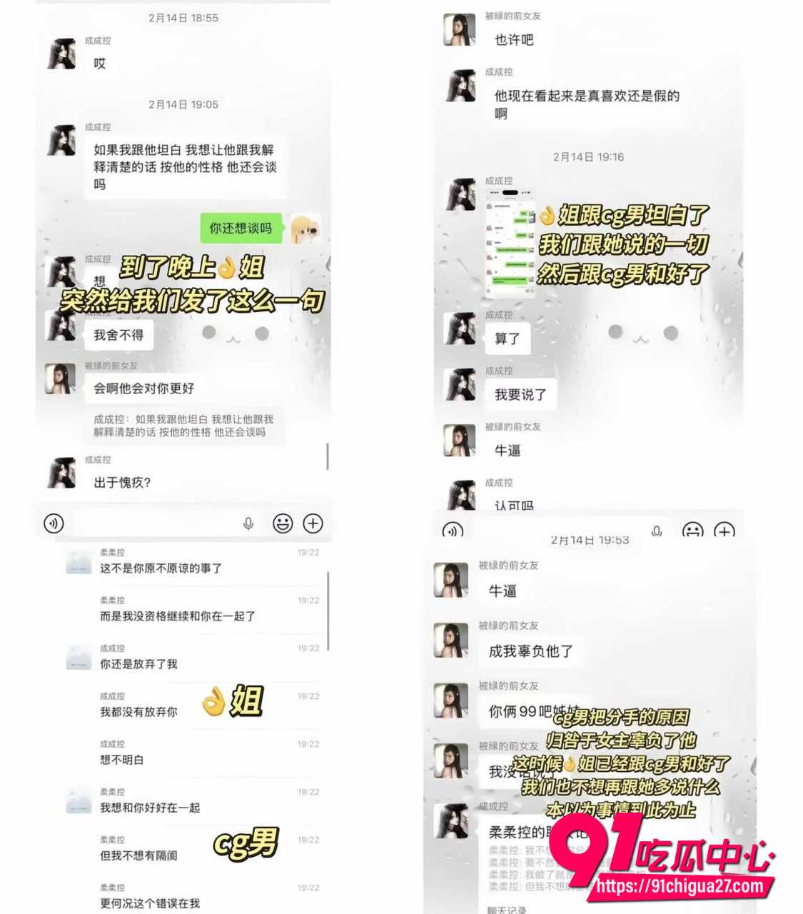 赵诚新8