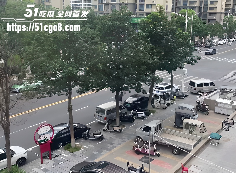 河南郑州男子无故砸车1