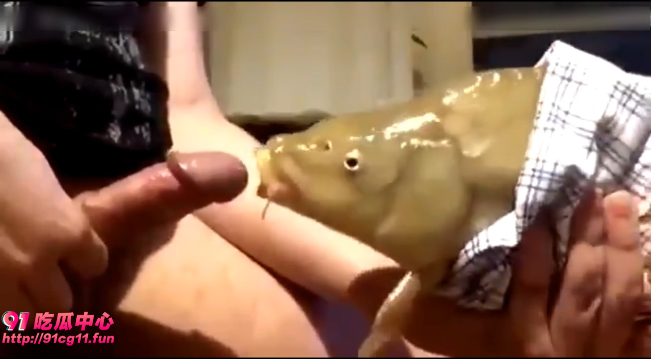 02.jpg
