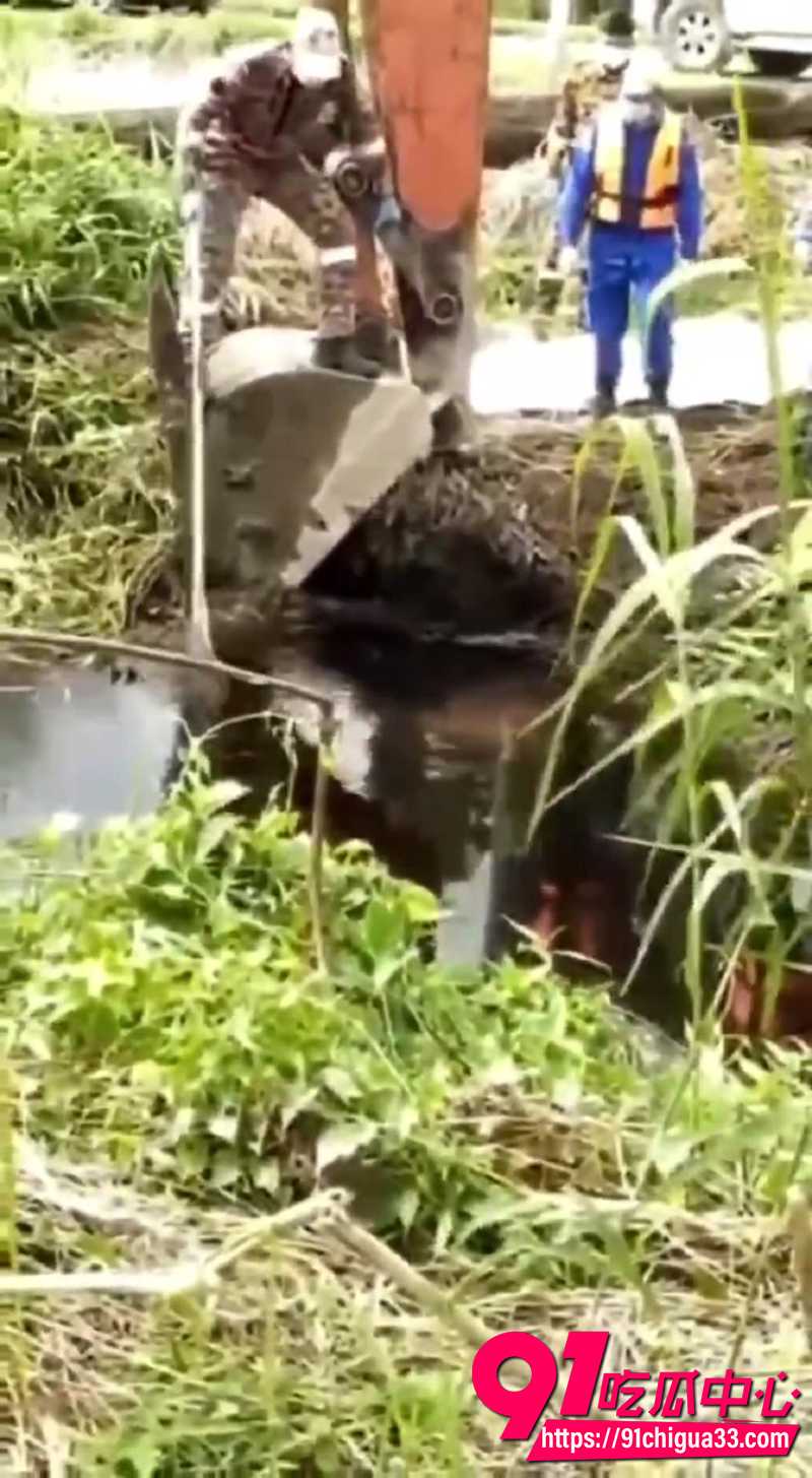 巨型鳄鱼吃人事件 2