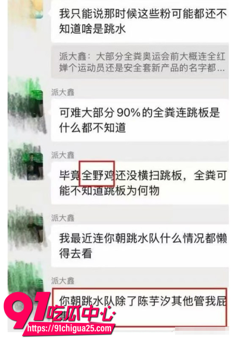 全红婵被骂肥羊17