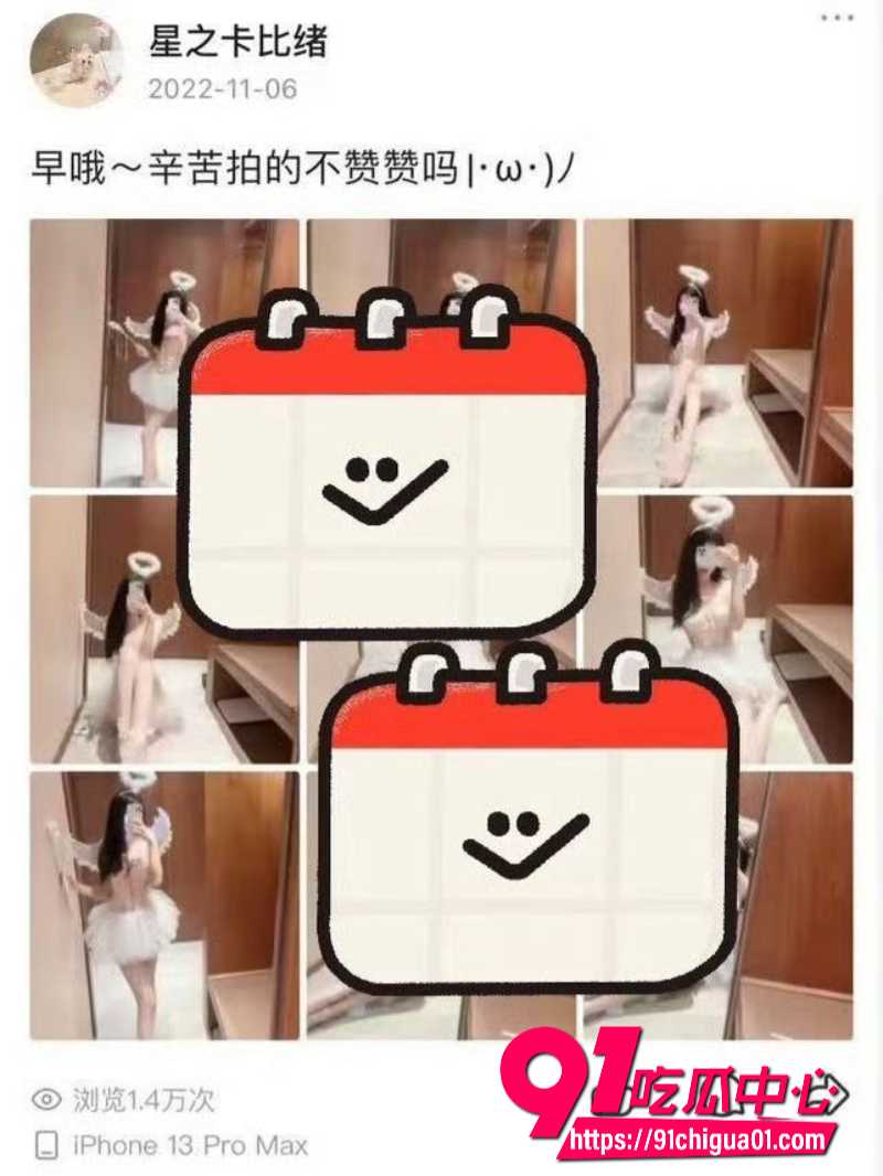 狼队道崽女友星之卡比11 狼队道崽女友星之卡比11
