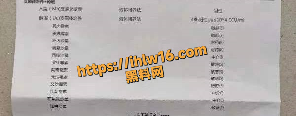 Coke直播间大姐蓝丽珠 恋爱期间出轨直播间富哥 生化母体再度祸害人间！