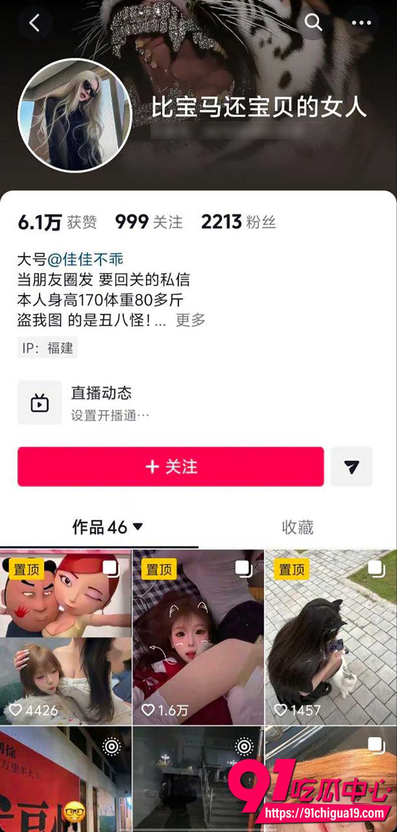 抖音网红猫小玉 1 抖音网红猫小玉 1