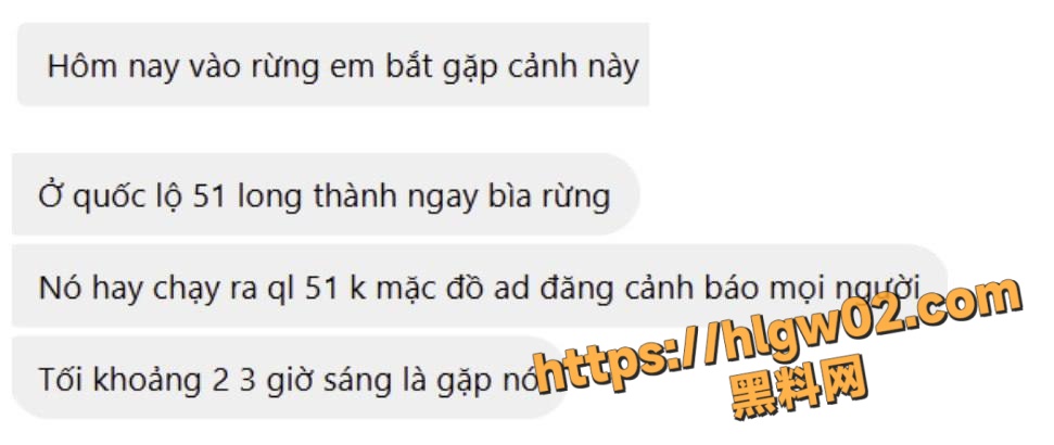 越南🇻🇳51号国道 Long Thanh Dong Nai 精神小伙驯服野生飞机杯全过程！