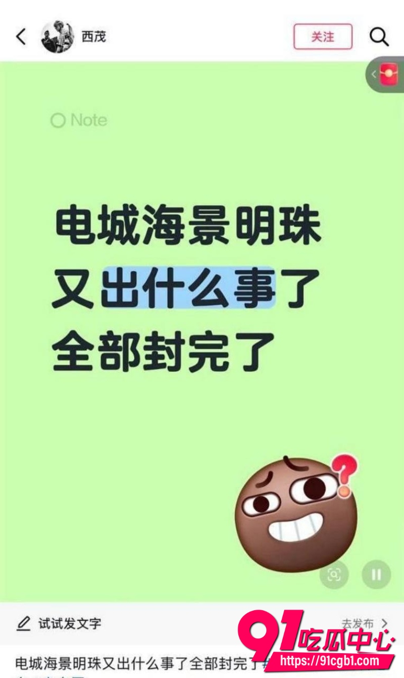 广东茂名电城砍人视频2