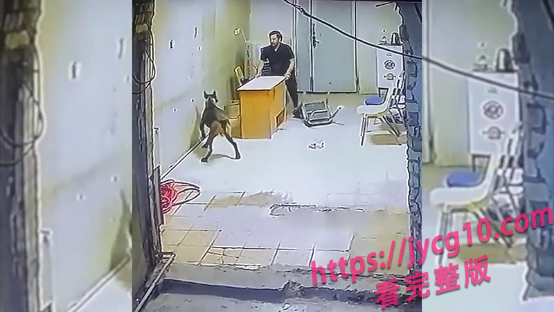 监控奇葩合集火出圈！打架 飞车 疯狗追人全程高能 配图5