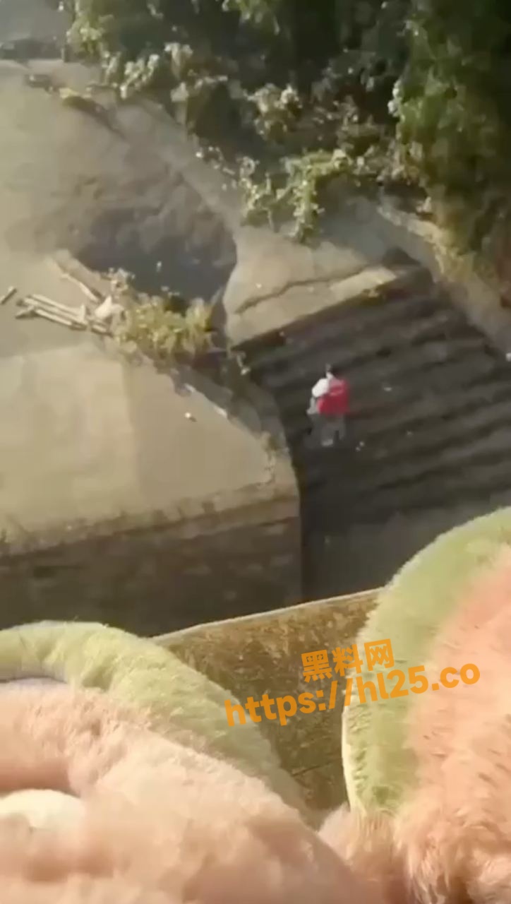 小情侣公园楼梯口交被偷拍！大白天毫不害臊进行激情着口爆！