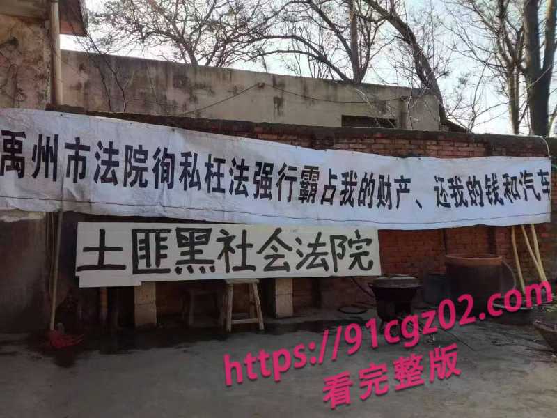 河南禹州市老头法院喊冤 称个人资产被法院侵占视频