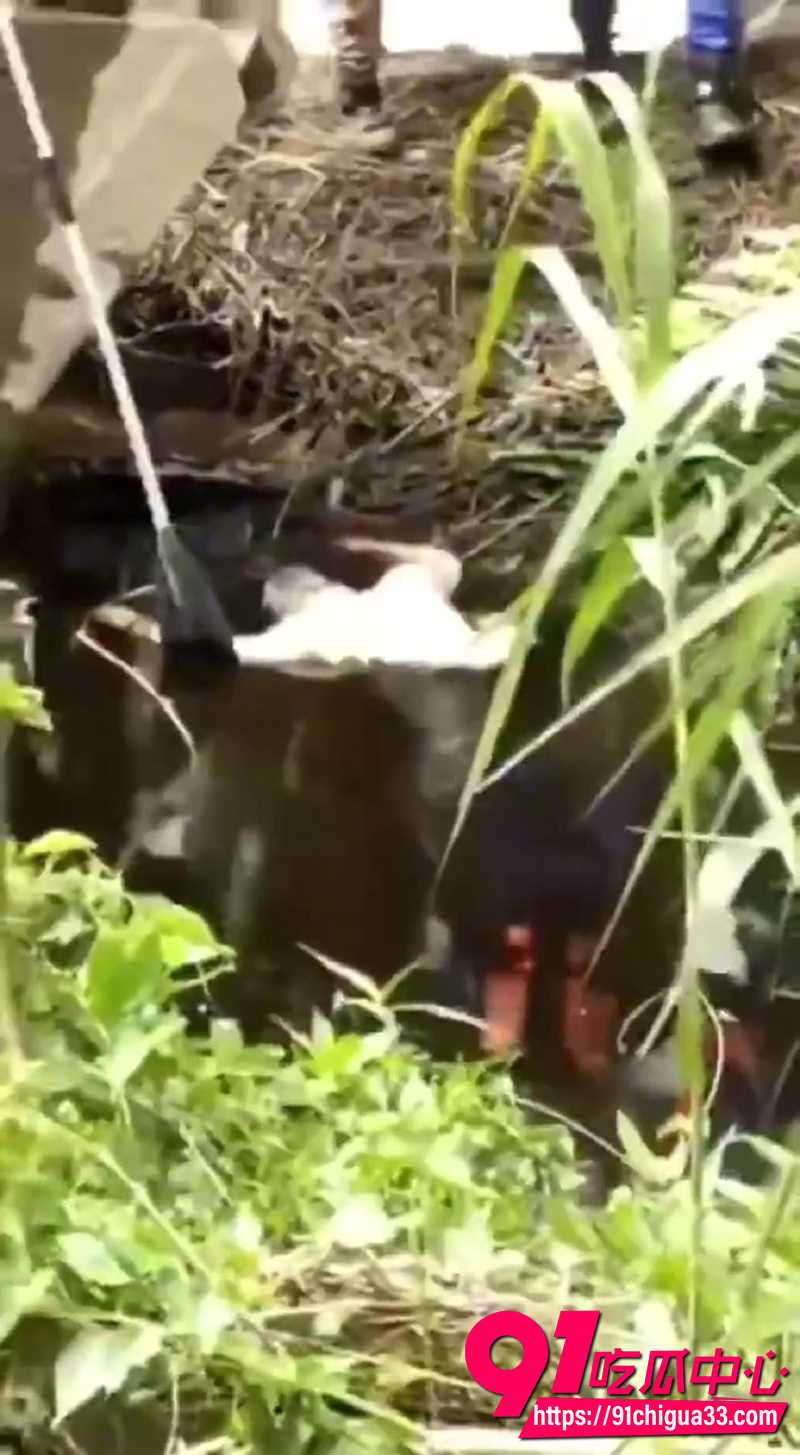巨型鳄鱼吃人事件 5