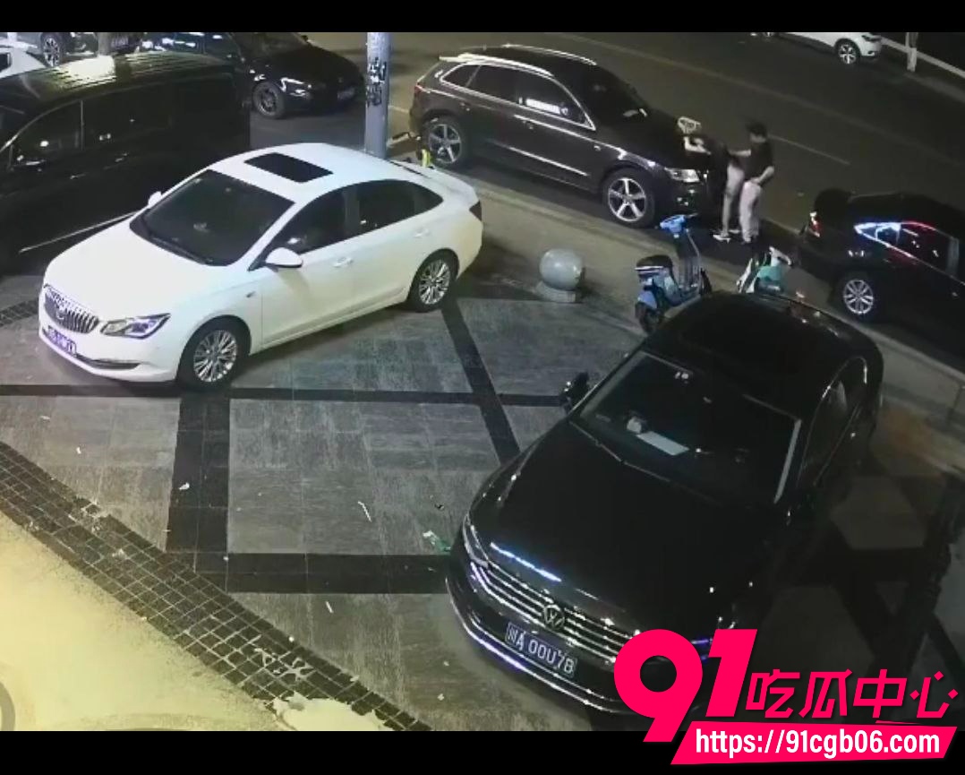 野鸳鸯精虫上脑路边车旁激情啪啪2