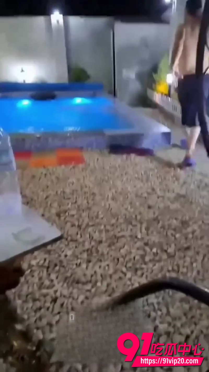 跳水6