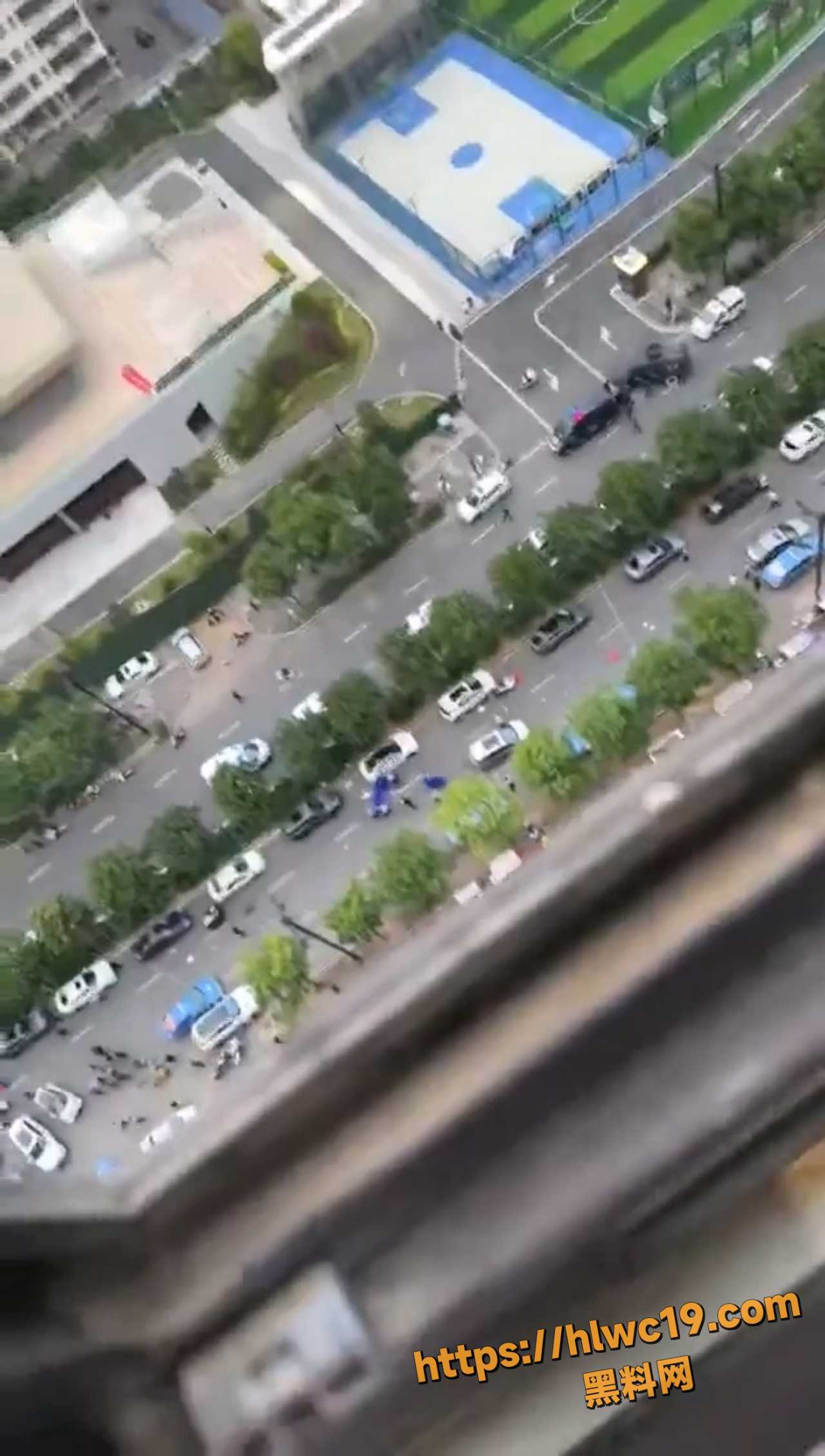 一脚油门酿惨剧？河南洛阳汽车撞向人群致多人死伤