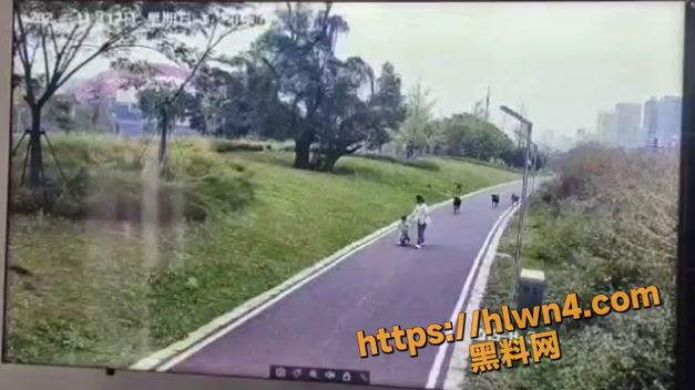 江西赣州烈性犬伤人事件视频流出 母女散步时被一群烈性犬围攻 母亲护子被撕咬 伤口巨大肉都被吃了！