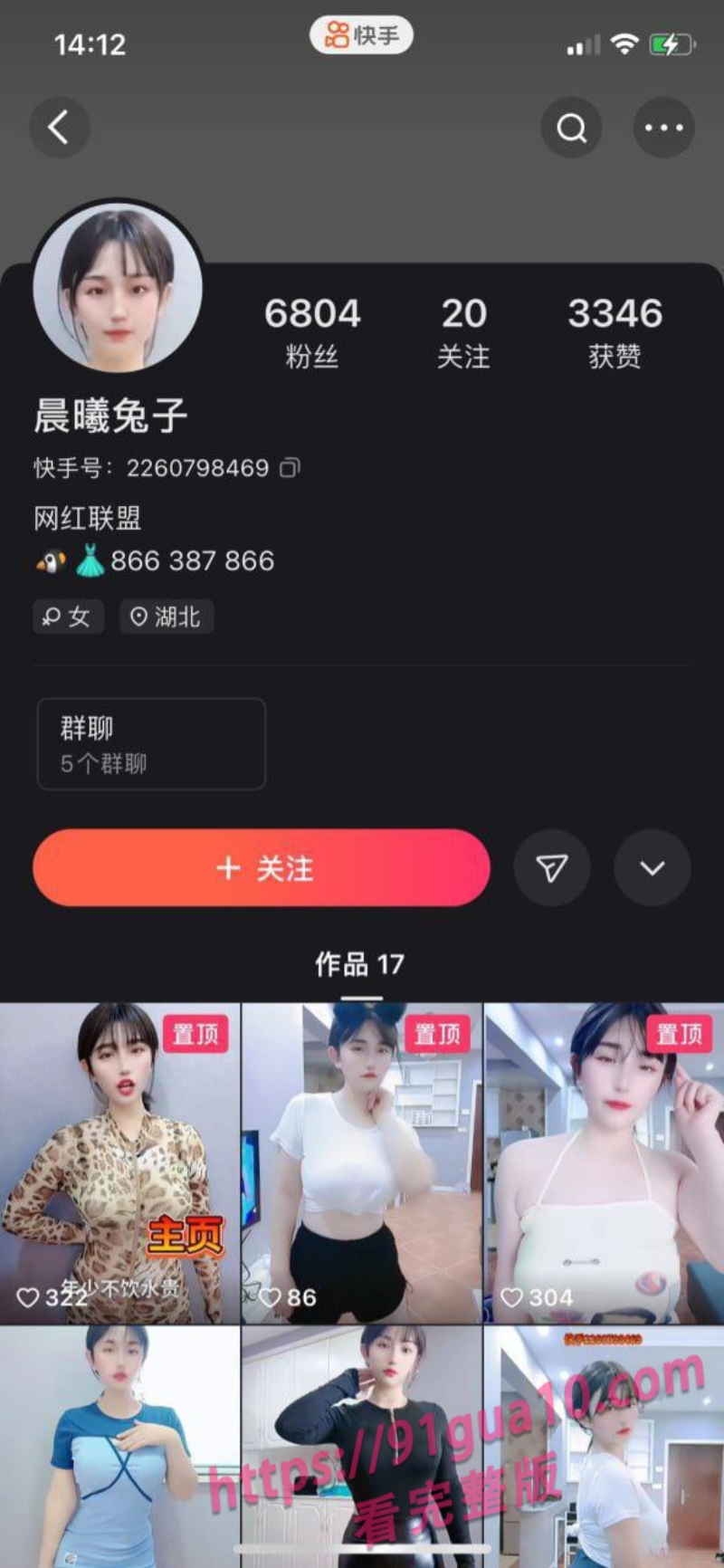 晨曦兔子1