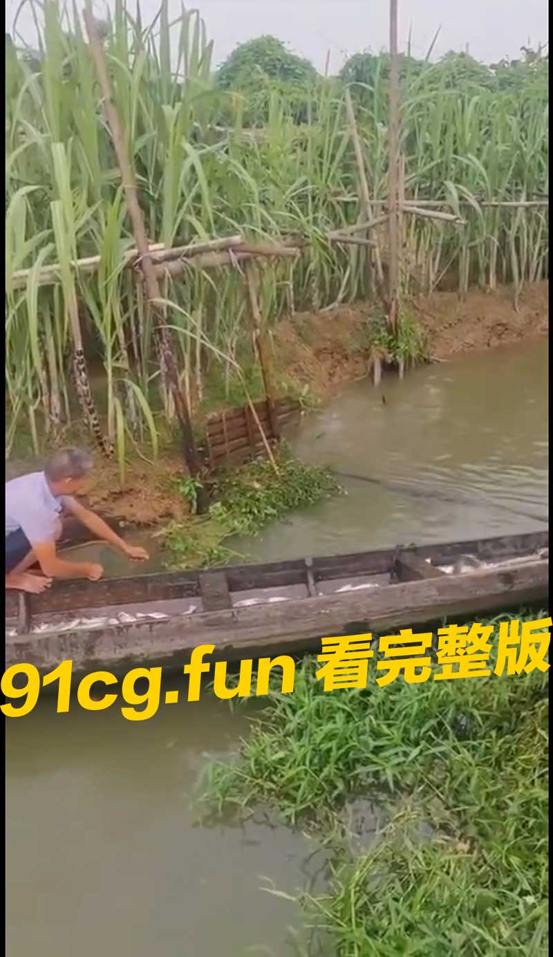 姜太公钓鱼,愿者上船 #钓鱼