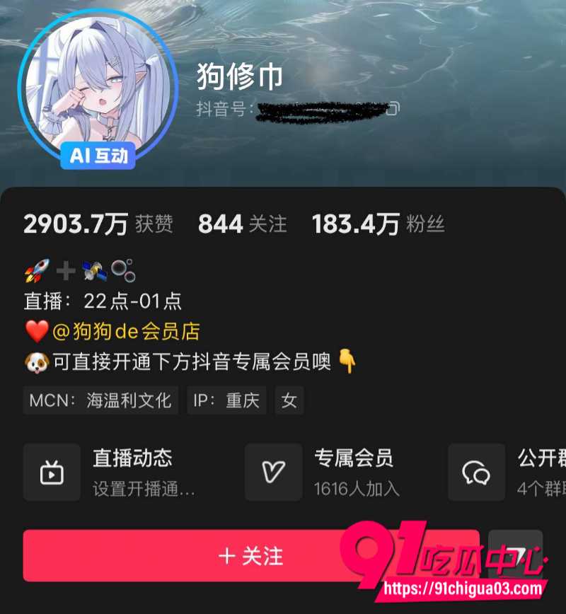 抖音百万粉丝网红狗修巾13 抖音百万粉丝网红狗修巾13