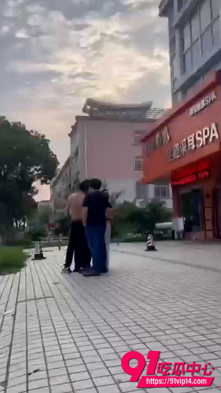 宠物碰瓷1