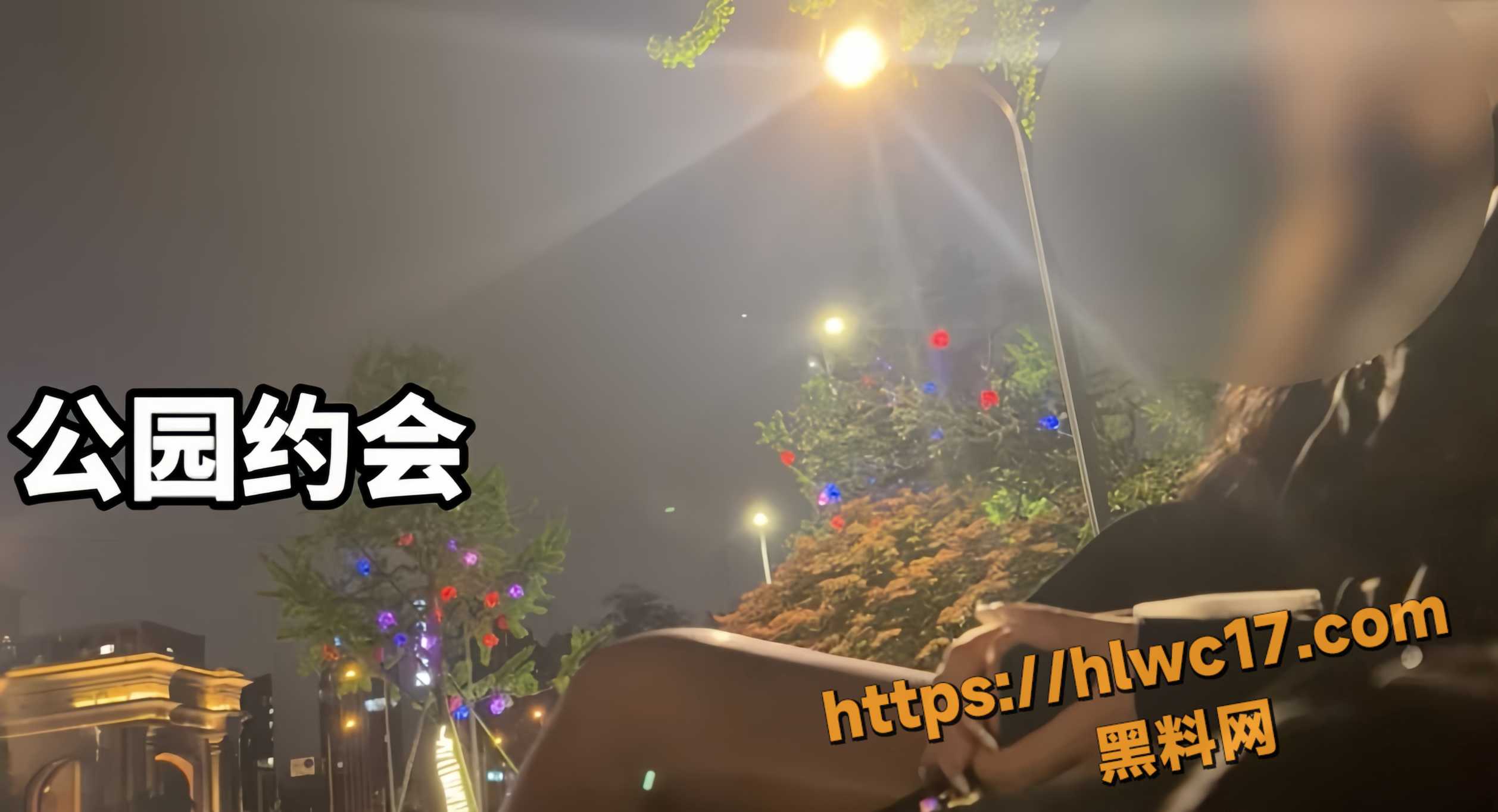 街头搭讪实战分享 如何在公园成功约到开保时捷的富婆姐姐？