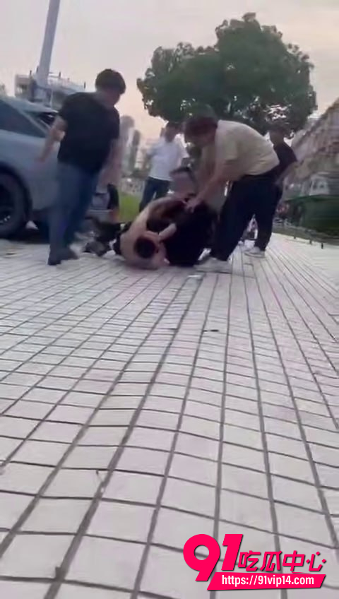 宠物碰瓷8