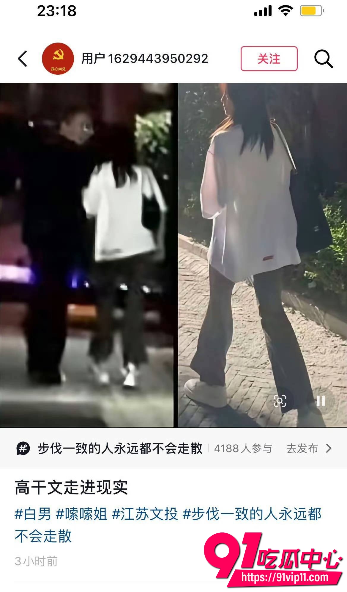 白鹿15