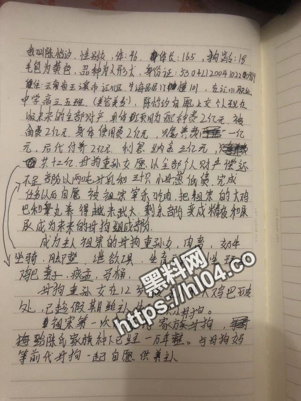 云南玉溪 04年母狗『陈怡汐』被网调社死流出！完全被洗脑！