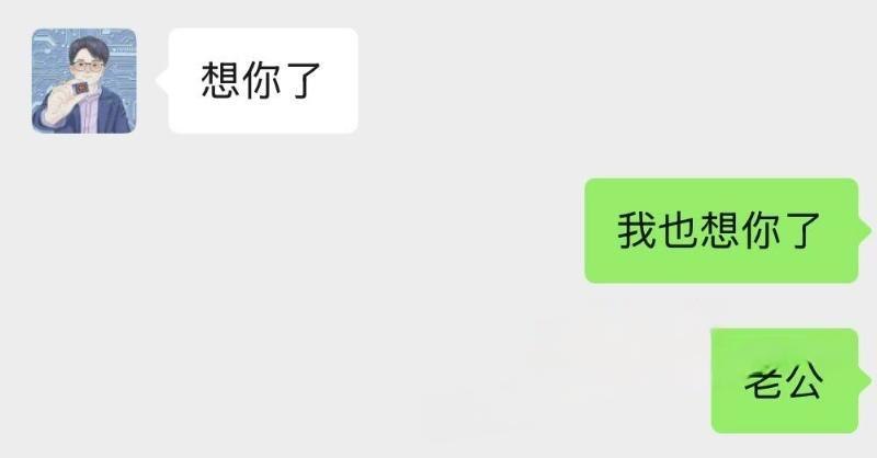 东南大学工程学院教授 赵涤燹 12