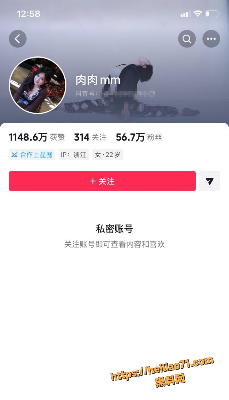 抖音56万粉丝网红 肉肉大王 自慰定制三联屏福利 性感小肉弹 骚舞视频合集