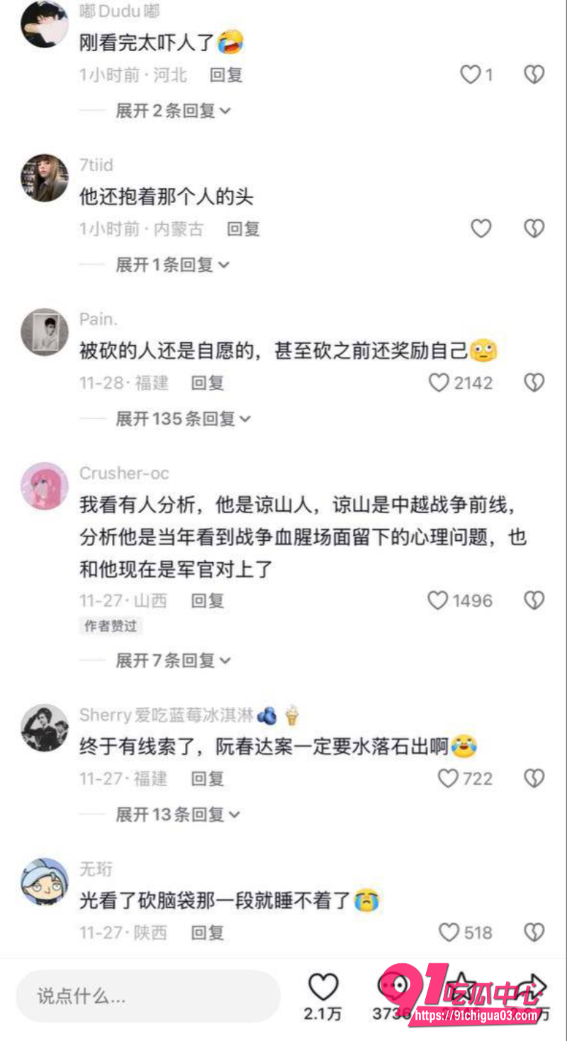 越南屠夫落网真实身份竟是高级军官24 越南屠夫落网真实身份竟是高级军官24