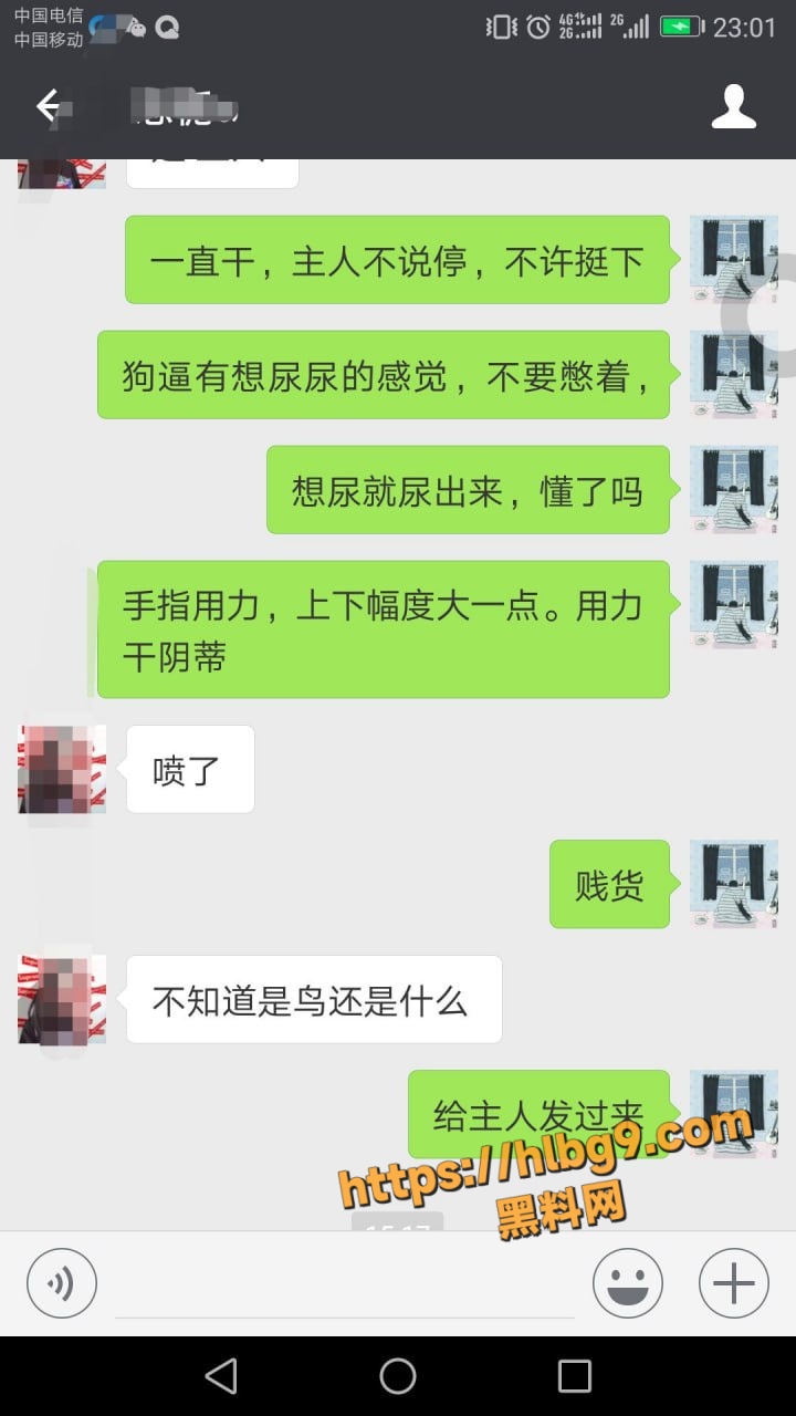 网调极品少女 清纯粉嫩带聊天记录 露脸高颜值反差骚婊 私人玩物 主人任务 目前最完整版本