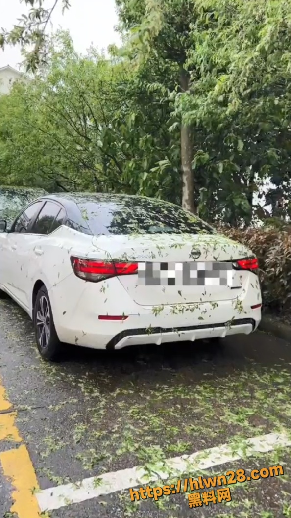 江西省上饶市婺源四月惊魂 狂风暴雨冰雹齐袭县城 极端天气吓坏众人 保险赔不赔成焦点!