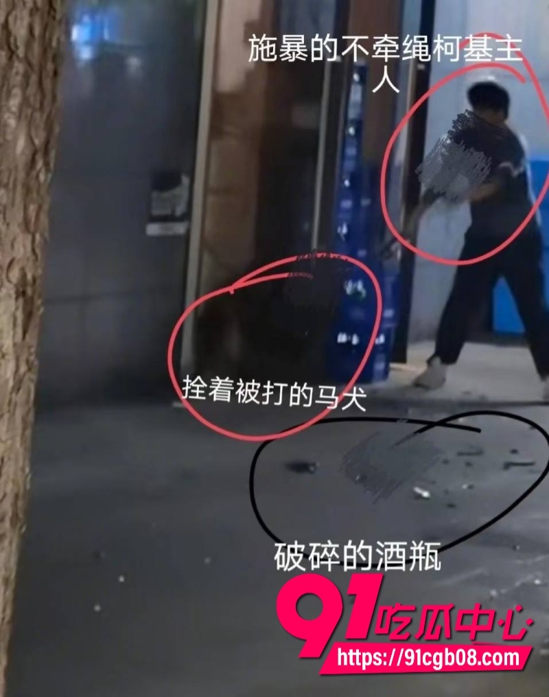 浙江 网友发视频：一男子当街用酒瓶和砖头疯狂打砸一只狗6