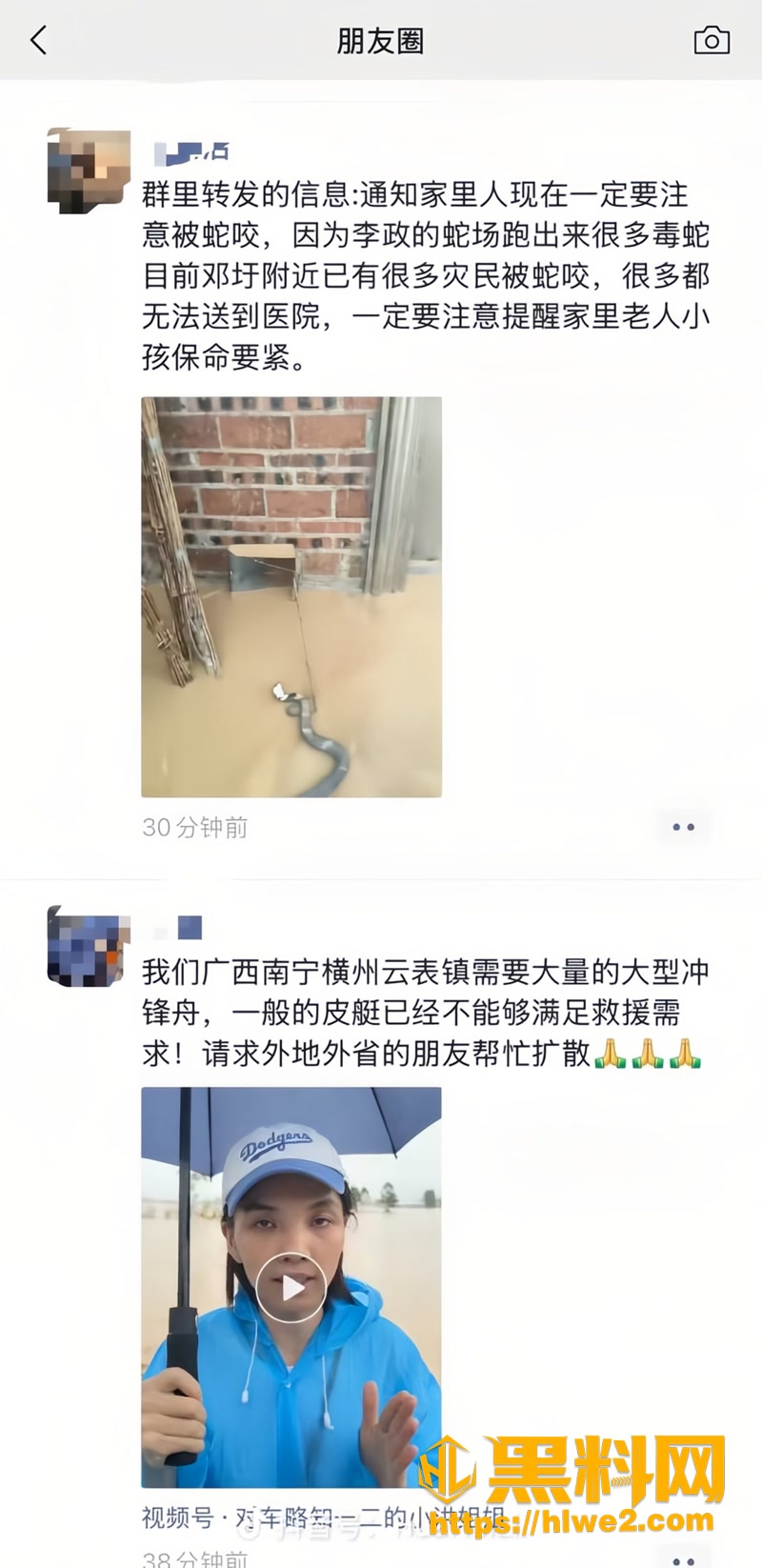 广西横州洪水冲垮养蛇场 近千条蛇狂窜村民家里 10多人已被咬血清告急