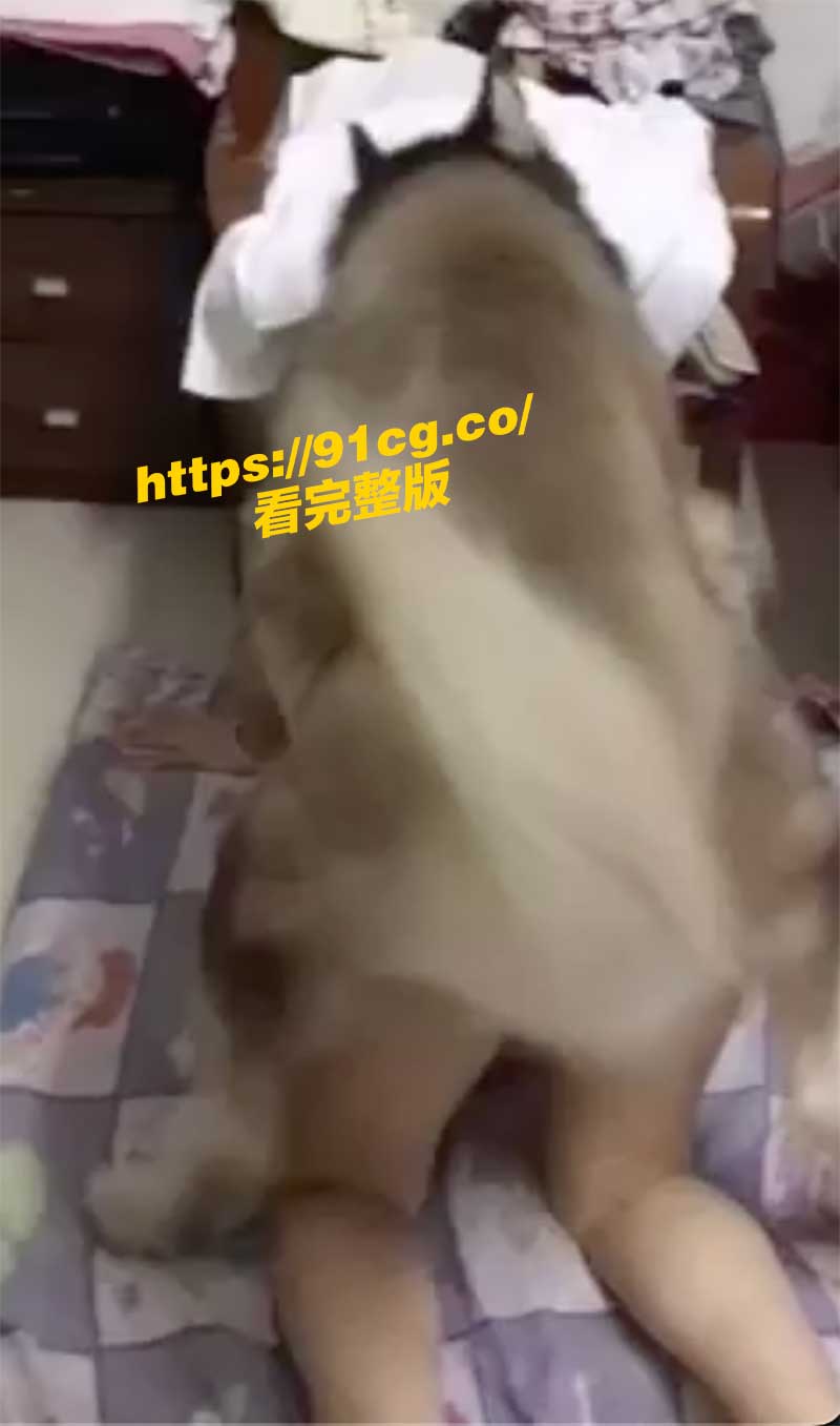 人狗情未了 深圳奇女子放狗操自己视频流出 男友发现后吓傻曝光