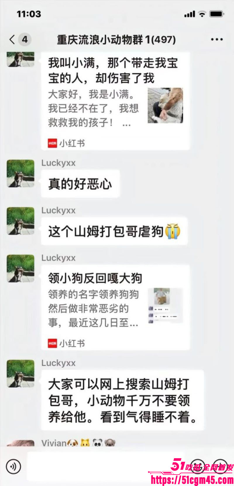 重庆山姆打包哥李萌领养小狗虐杀致死 15
