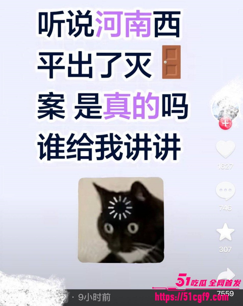 河南西平县重大刑案 27
