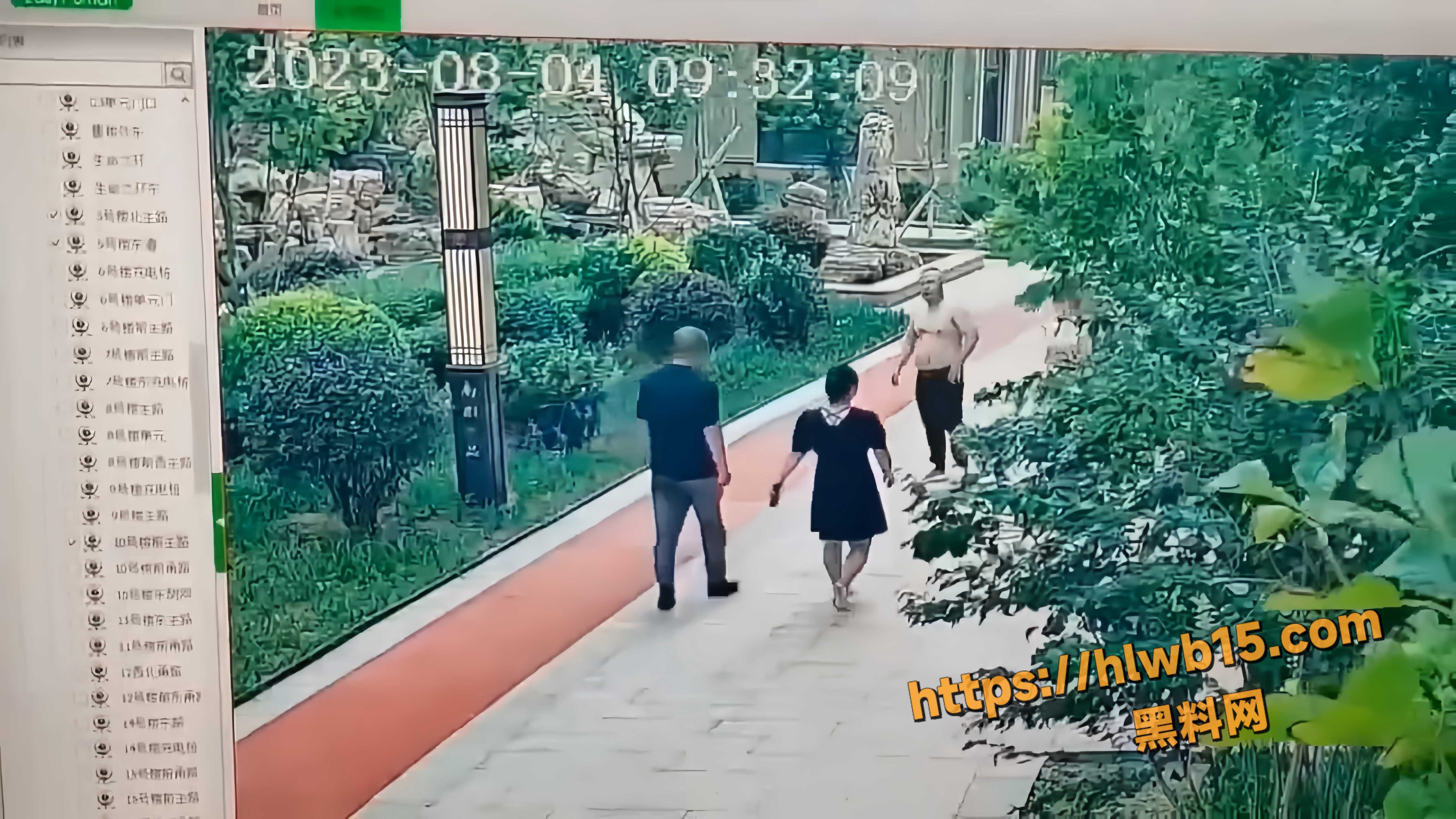 国产鲁智深再现江湖 拔垂杨柳零帧起手 闪电拳头捶趴一家人 监控视频流出全网疯传！