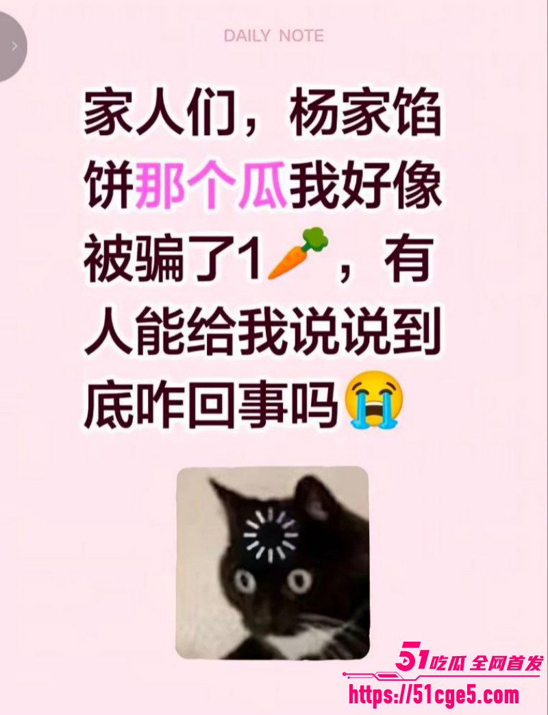 山东青州杨家馅饼老板娘辛能能事件05