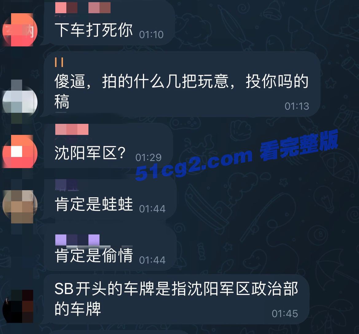 疑似沈阳军区车震偷情被抓拍视频