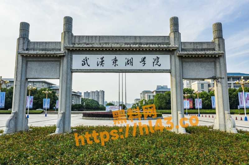 武汉东湖学院一对小情侣夜晚在操场当众口交 饥渴的欲望让两人陷入无人仙境！